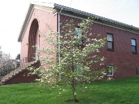 Meetinghouse in the spring